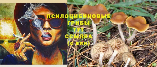 гидропоника Баксан