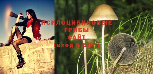 а пвп мука Балабаново