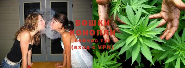 бошки Белокуриха